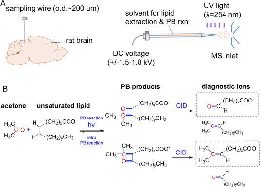 Fig. 1